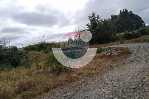 Terreno De Ensueño En Los Lagos: ¡invierte Hoy!