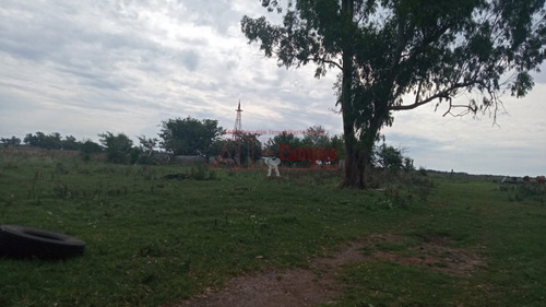 Imagen 10 de 11 de Venta, De Importante Fracción De Campo Sobre Ruta Prov. 54, Partido De Magdalena.