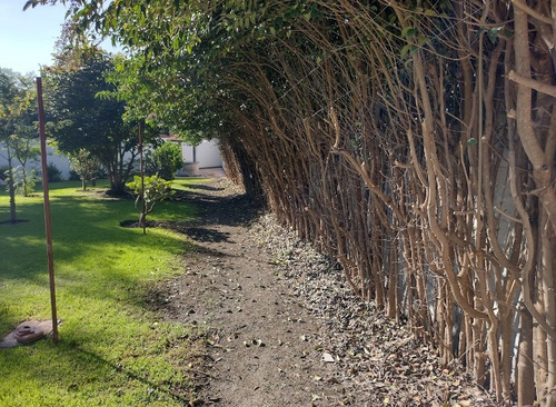 Imagen 5 de 15 de Terreno En Fraccionamiento Privado Oasis Valsequillo