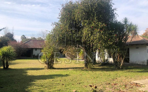Imagen 2 de 4 de Terreno - Manuel B Gonnet