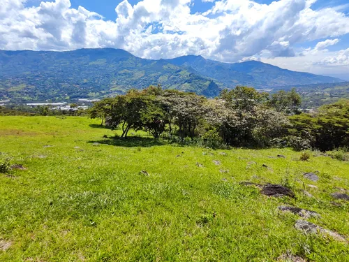 Lote En Girardota En El Limonar