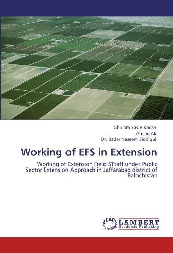 Working Of Efs In Extension Working Of Extension Field Sttaf