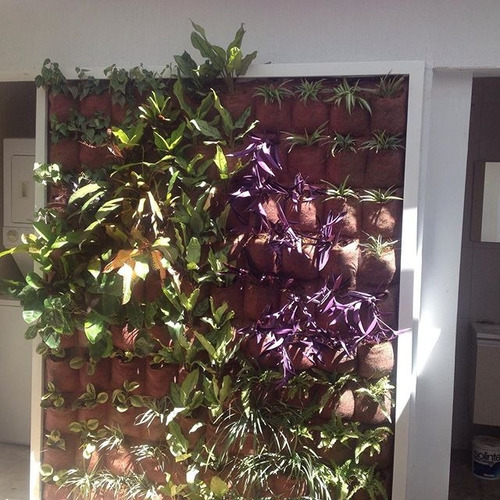 Jardines Verticales Barquisimeto