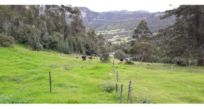 Finca en venta