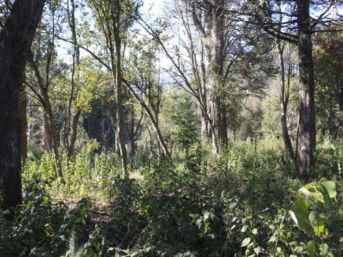 Imagen 15 de 17 de Venta Lote De 1025 M2 En Las Balsas, Villa La Angostura