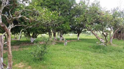 Imagem 6 de 30 de Rancho Com 8 Dormitórios À Venda, 300 M² Por R$ 4.000.000,00 - Sitio São José - Viamão/rs - Ra0001
