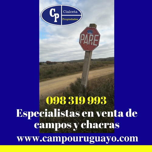 Venta De Campos Y Chacras