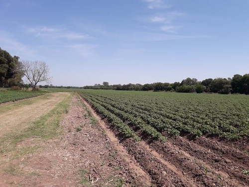 Imagen 6 de 11 de Lotes -terreno - (chacra) De 22 Hectáreas