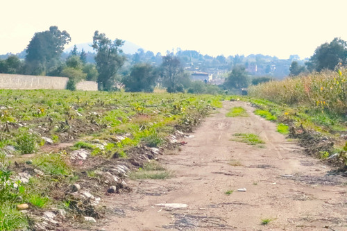 Terreno En Renta En Amecameca