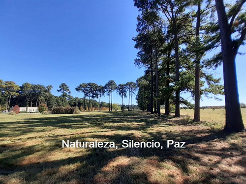 Imagen 2 de 20 de Pinares Country Club Lote 568 Etapa 2 ( Ver Video)