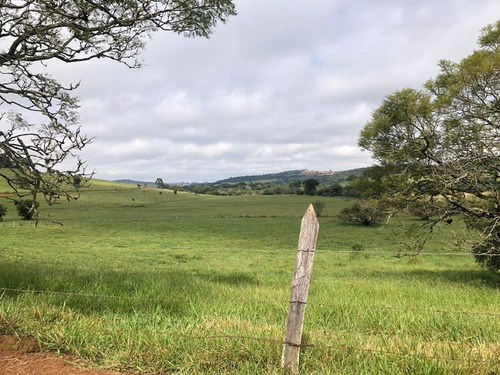 Imagem 14 de 24 de Vendo Fazenda Regiao De Pouso Alegre (6178)