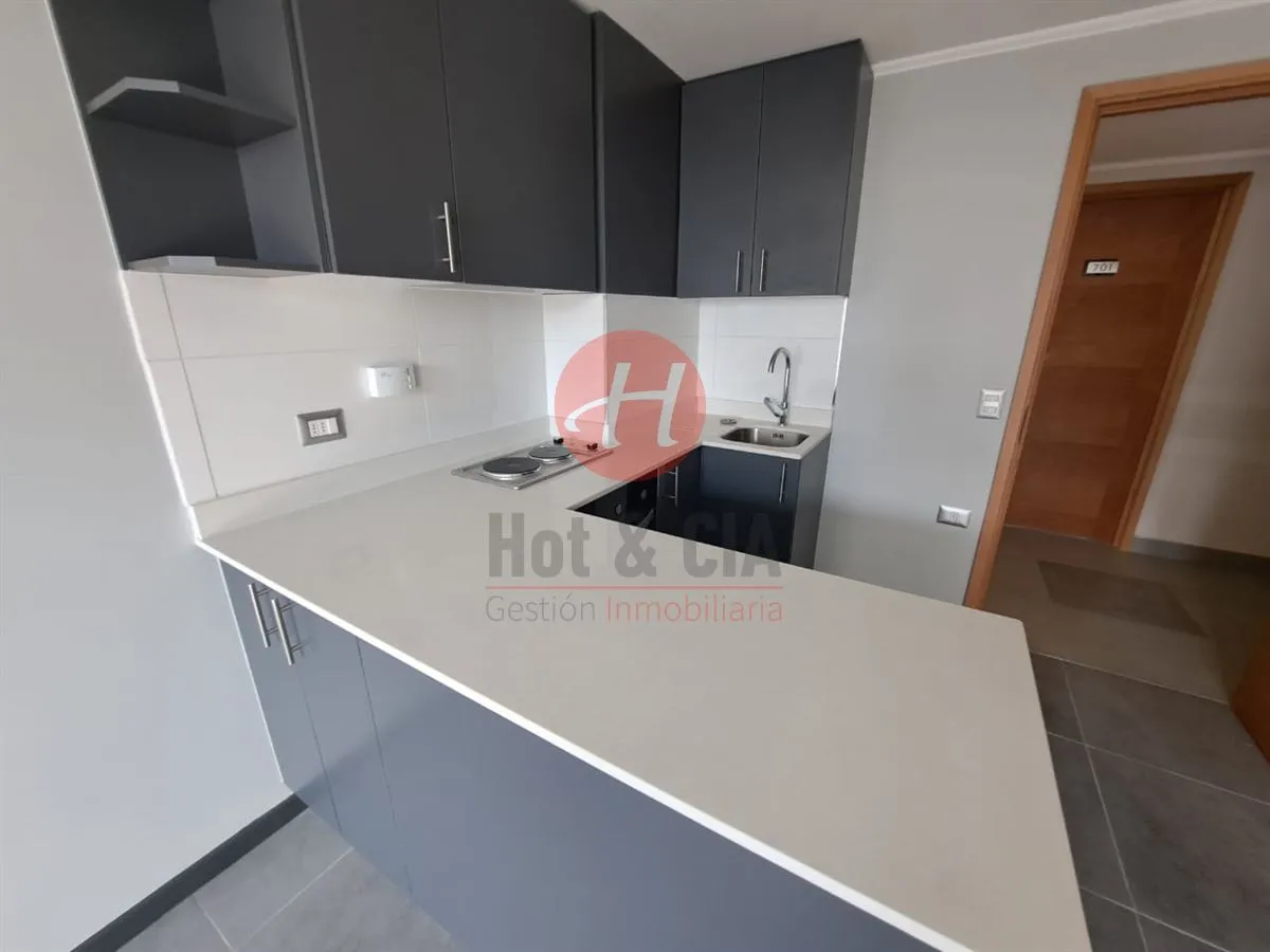 Imagen 5 de 7 de Departamento En Arriendo En Temuco