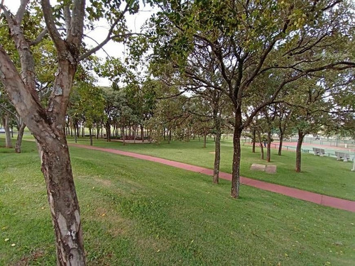 Imagem 15 de 15 de Terreno À Venda No Bairro Parque Residencial Buona Vita - São José Do Rio Preto/sp - 2021468