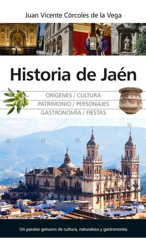 Libro Historia De Jaen