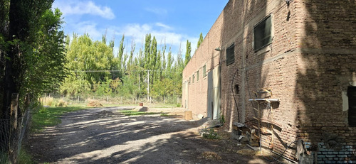 Galpón 1000 M2 C/ Ofi Y Baño - Centenario