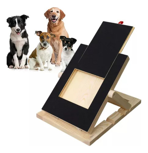 Rascadores De Uñas Para Perros: Herramientas Adecuadas Para