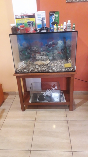Imagen 3 de 3 de Pecera
