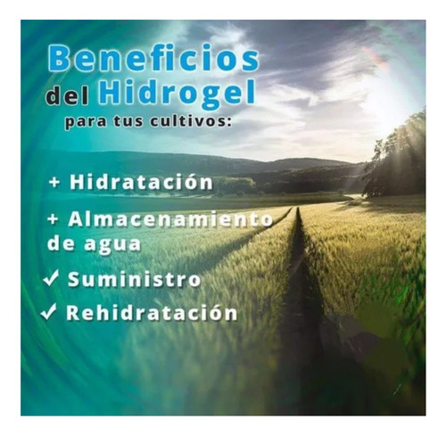 Hidrogel Agrícola Poliacrilato Lluvia Solida 25kg
