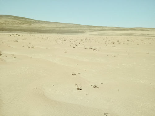 Imagen 4 de 16 de Lotes Por Manzana De 920 M2 C/u Casas Campo Agropec. Cañete