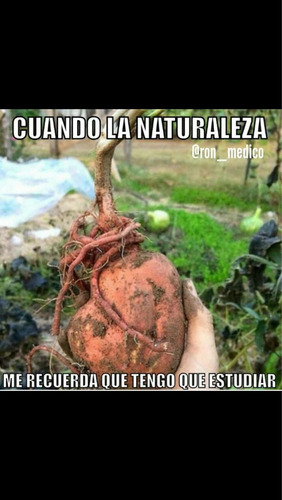 Imagen 1 de 1 de Clases Particulares De Biología