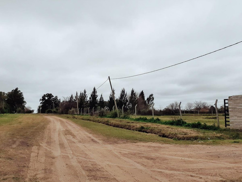 Imagen 2 de 11 de Terreno Venta -315,25mts2 Totales- City Bell