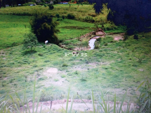 Imagem 19 de 28 de Fazenda Em Rio Preto Minas Gerais - 2044007423 - 67629041