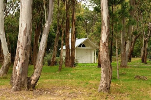 Imagen 14 de 16 de Terreno En Venta En Laguna Blanca