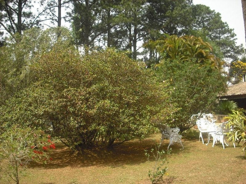 Chácara Residencial À Venda, Chácara Recreio Lagoa Dos Patos, Jundiaí - Ch0004 - 34727186