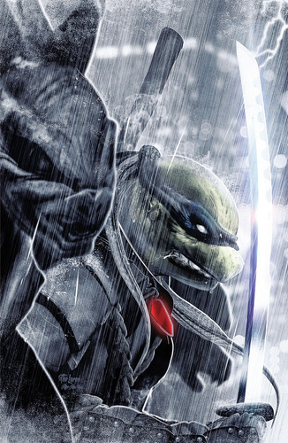 Teenage Mutant Ninja Turtles The Last Ronin 1 R