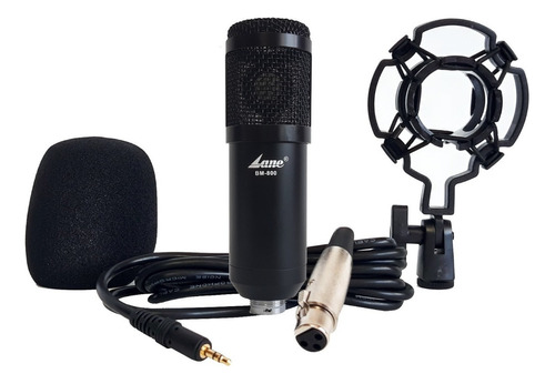 Microfono Condenser Lane Bm-800 Estudio Filtro Araña Cable Color Negro