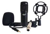 Comprar Microfono Condenser Lane Bm-800 Estudio Filtro Araña Cable Color Negro