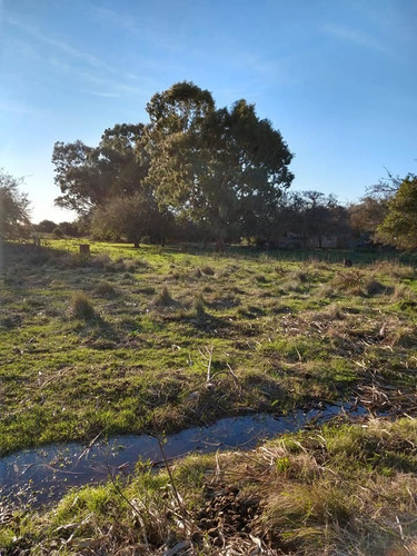 Imagen 4 de 5 de Lote Venta Punta Indio