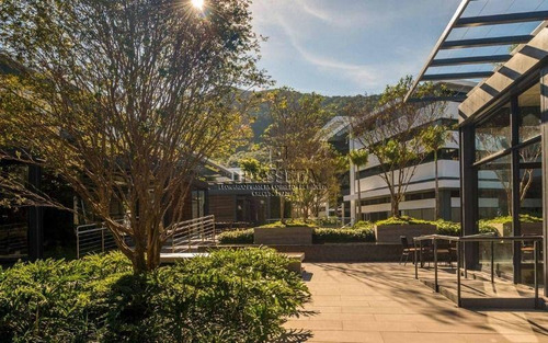 Imagem 4 de 30 de Sala Comercial Para Locação, Saco Grande, Florianópolis - . - Sa0018