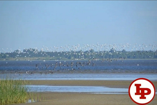 Chacra Turística 5 Has Sobre El Río De La Plata
