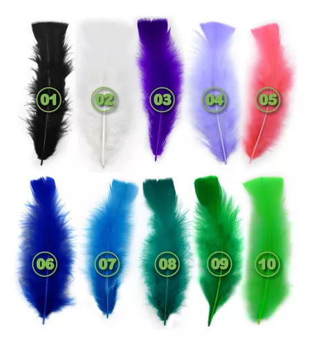 PLUMAS GRANDES DE COLORES 24 PCS