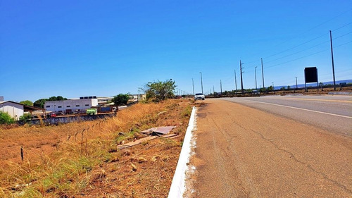 Imagem 9 de 20 de Terreno Comercial De 9.120 M² À Venda Na To-050 - 1112 Sul - 258