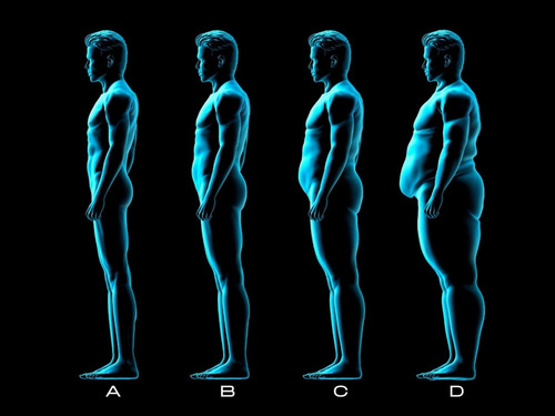 Imagen 5 de 5 de Camiseta Compresión Faja Hombre Bodysigner