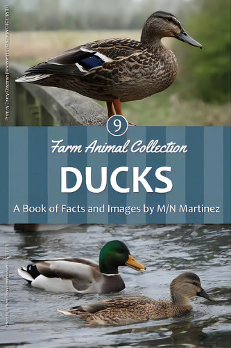 Ducks: A Book Of Facts And Images, De Martinez, M/n. Farm Animal Collection, Vol. 1. Editorial Createspace, Tapa Blanda En Inglés