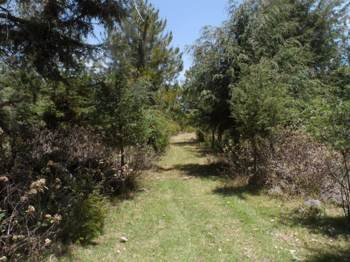 Imagen 13 de 14 de Venta De Rancho En Jilotepec De Molina Enríquez