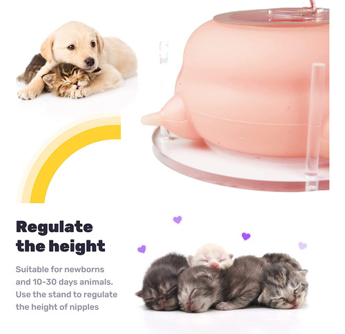 Comedero De Leche Para Cachorros MĂșltiples Cachorros, Gatito