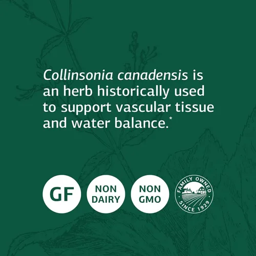 Standard Process Collinsonia Root - Suplemento Vascular De A