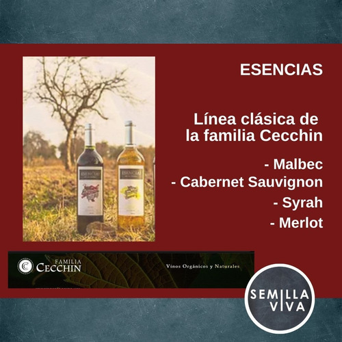Imagen 4 de 8 de Vino Orgánico Merlot De Esencias De Mi Tierra X 750 Ml