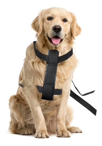 Cinto De Segurança Peitoral Para Cães Tamanho P+guia