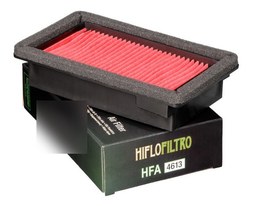 Filtro De Aire Hiflo Hfa4613 Yamaya Xt 660 R/x - Sti C