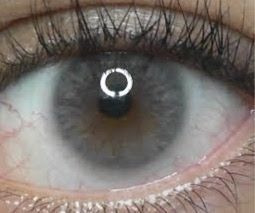 Imagen 6 de 9 de Siesta - Crystal Halo Gray - Lentes De Contacto
