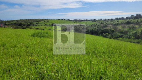 Parcelas Con Rol En Mantagua De 1000 Mt2 En Condominio