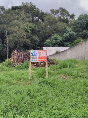 Imagem 4 de 5 de Terreno Para Venda Em Piraquara, Guarituba - 3316_1-1841902