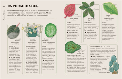 Cómo No Matar Tus Plantas (nueva Edición)
