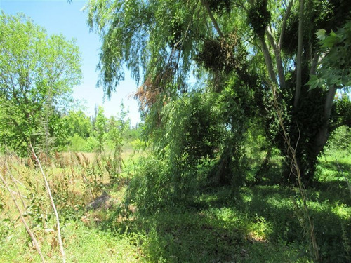 Imagen 8 de 16 de Sitio Con Acceso A Estero Puangue