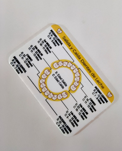 Puerta Mágica Ratón Perez Dientes De Leche. Kit X 3 Pzas Verde Oscuro Bosque Farolitos